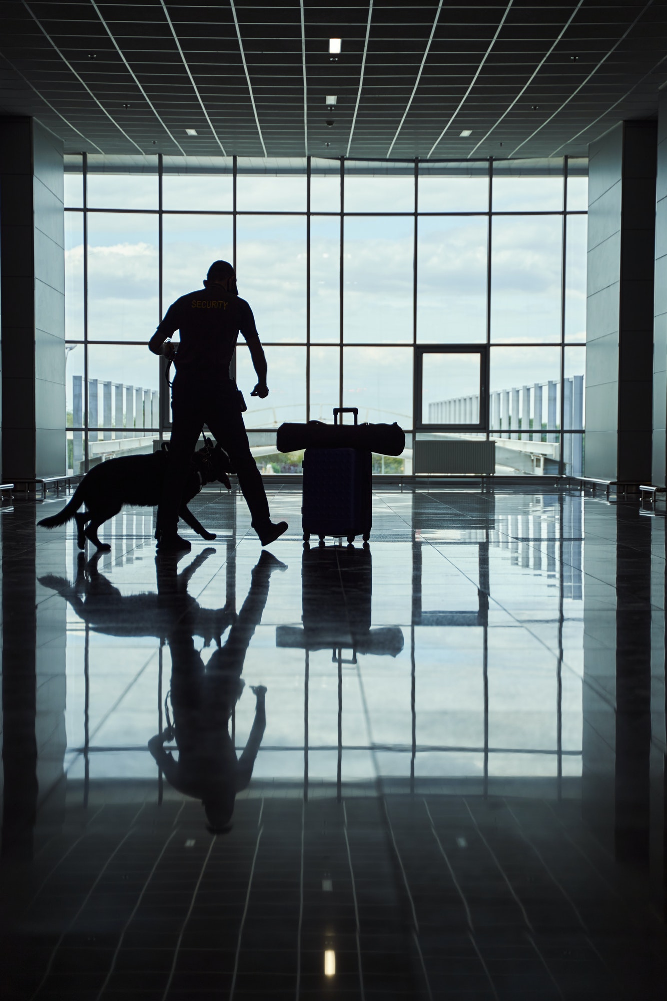 security-worker-with-detection-dog-checking-luggage-at-airport